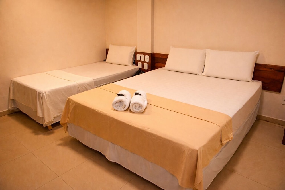 Frota Palace Hotel 11/50