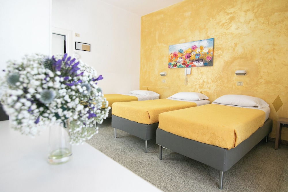 Hollywood Hotel 15/50