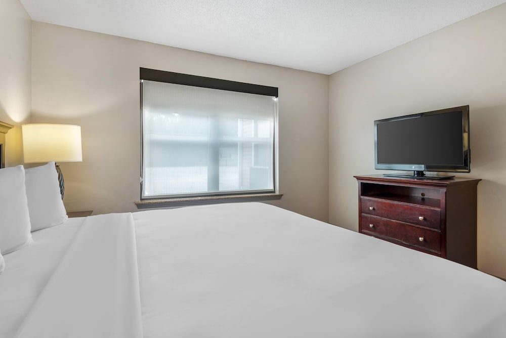 1 Bedroom, Suite, King Bed, Sofa
