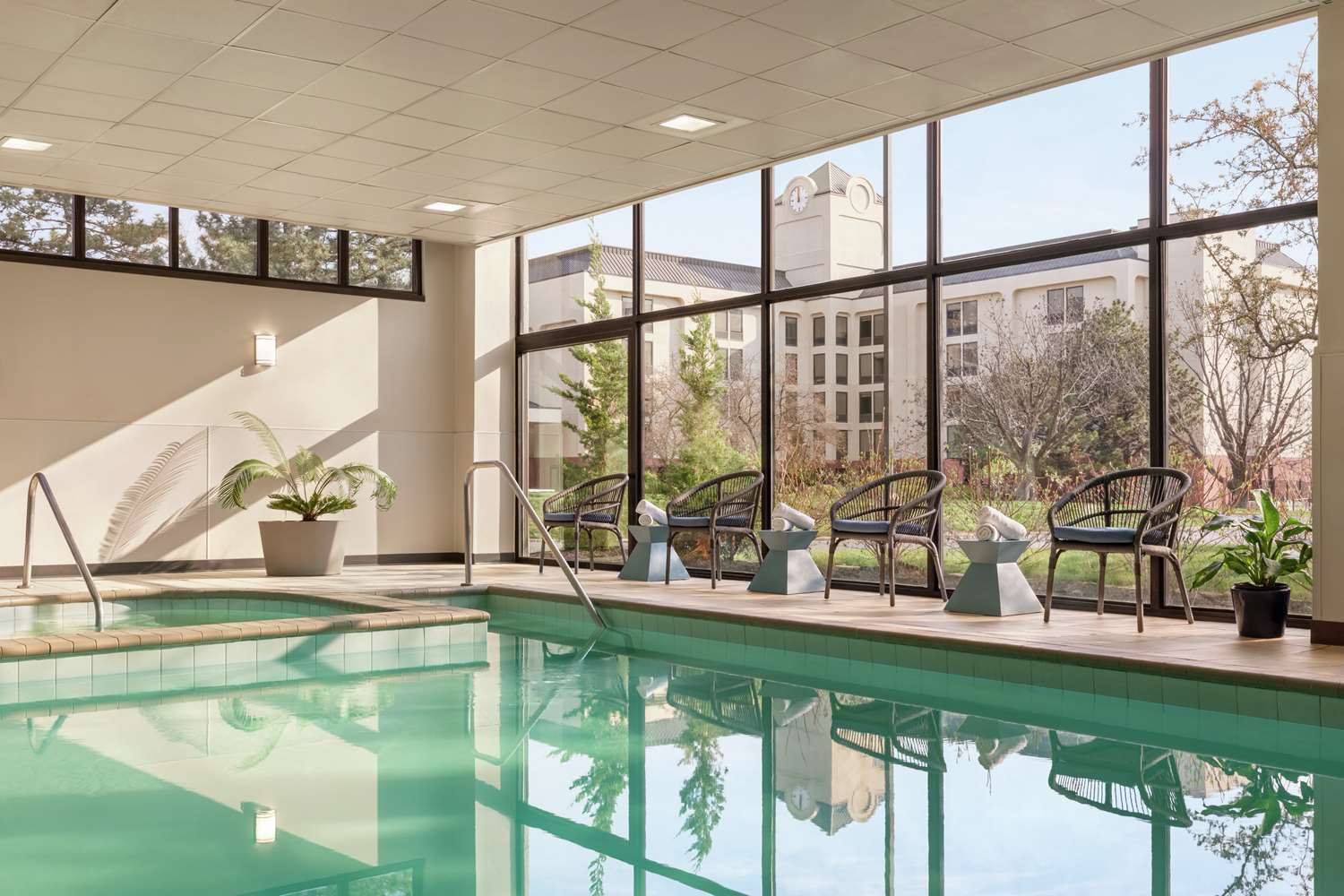 swimming pool spa