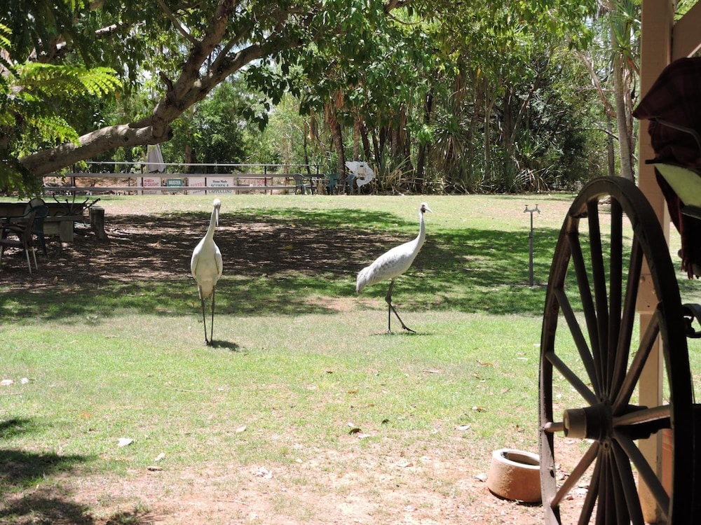 TERRITORY MANOR MOTEL AND CARAVAN PARK 17/26