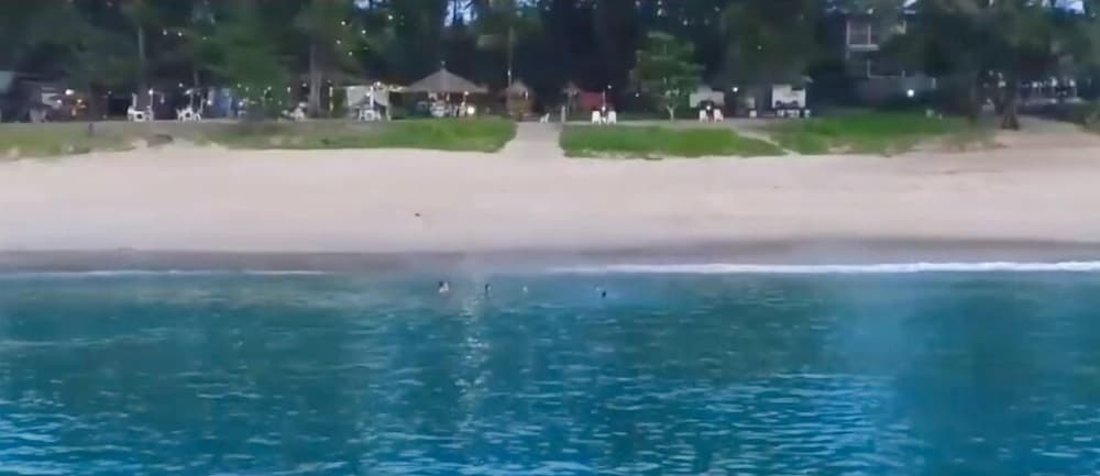 Micky Monkey Beach Hotel 31/50