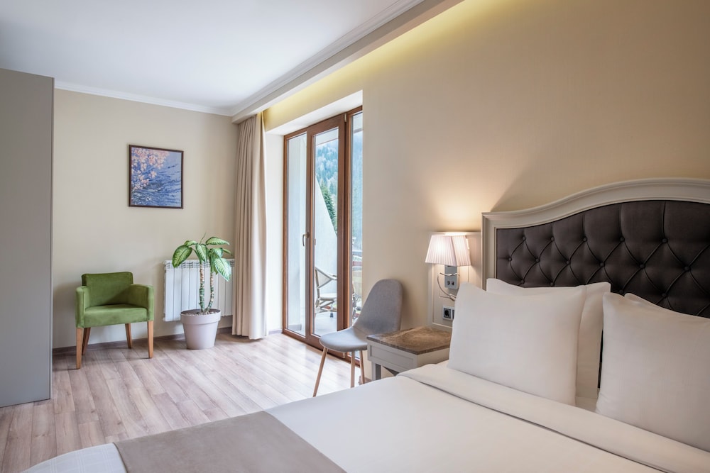 Sairme Hotels & Resorts 11/37