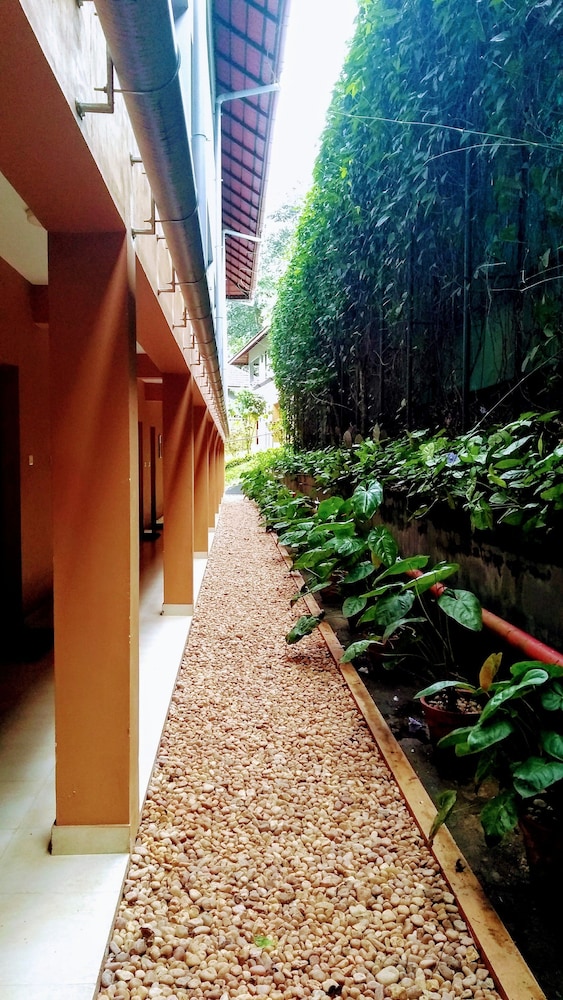Abad Green Forest 47/50