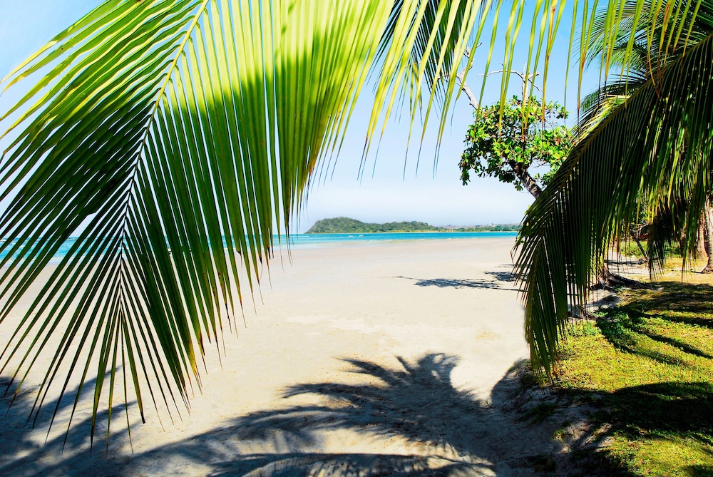 Villas Playa Samara Beach Front - All Inclusive 45/61