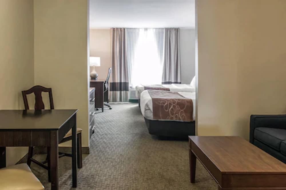 Comfort Suites Wixom - Novi 25/32