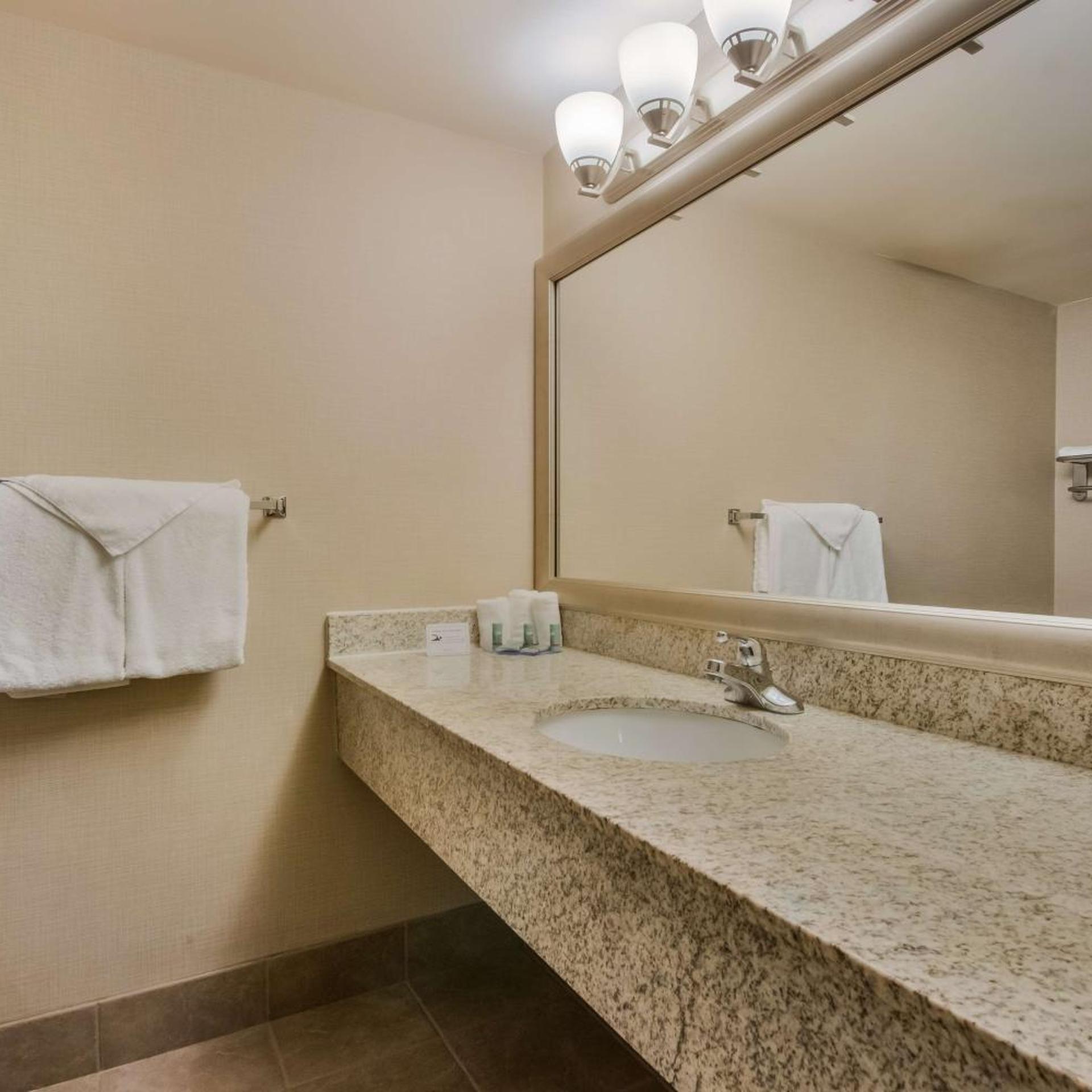 غرفة بسرير مزدوج لذوي الإعاقة، Best Western Brantford Hotel Conference Centre 9/10