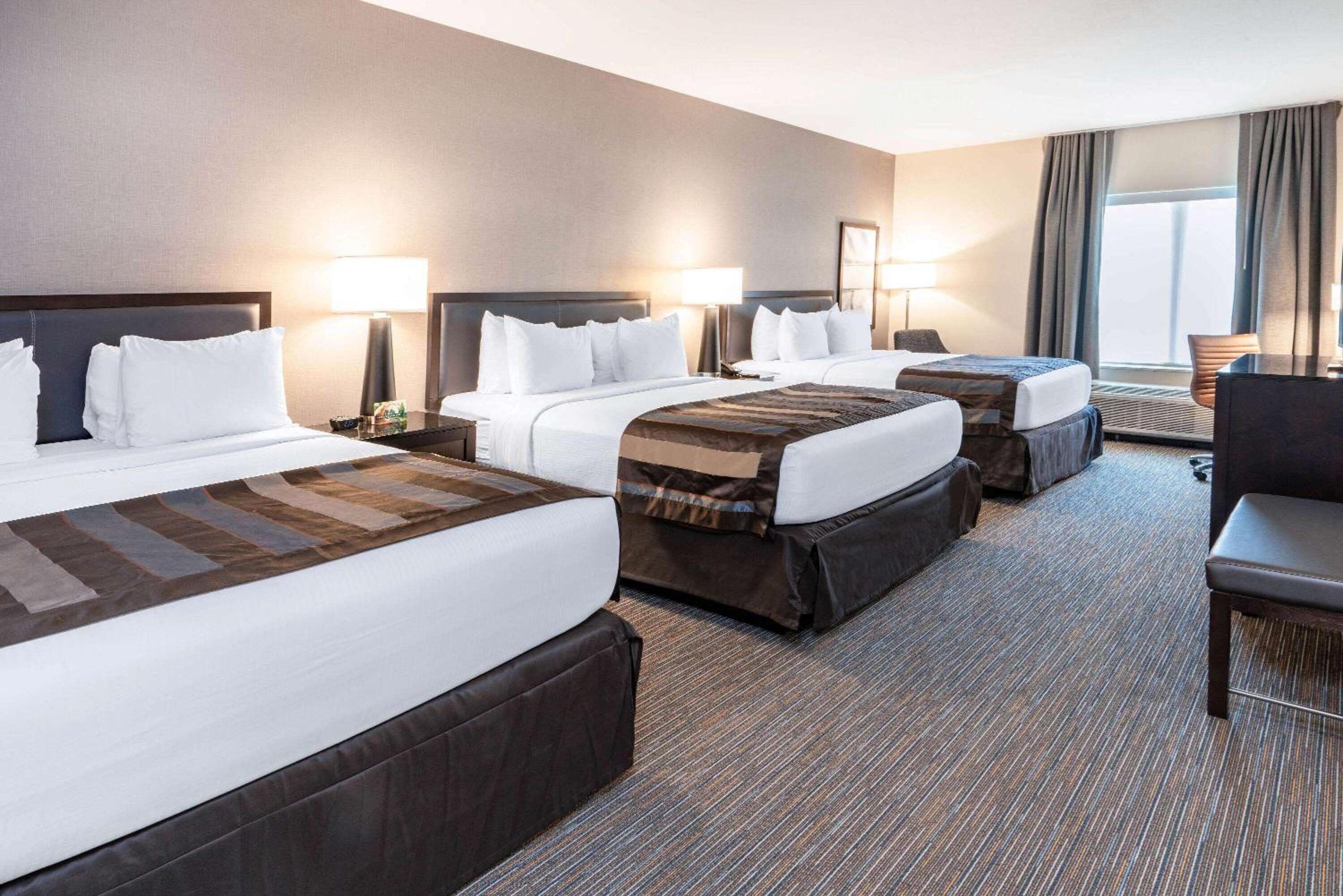 Room, 3 Queen Beds, Queen Bed