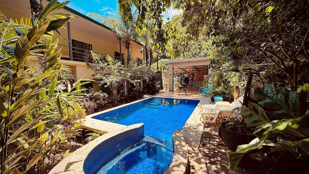 Hotel La Posada And Jungle 69/74