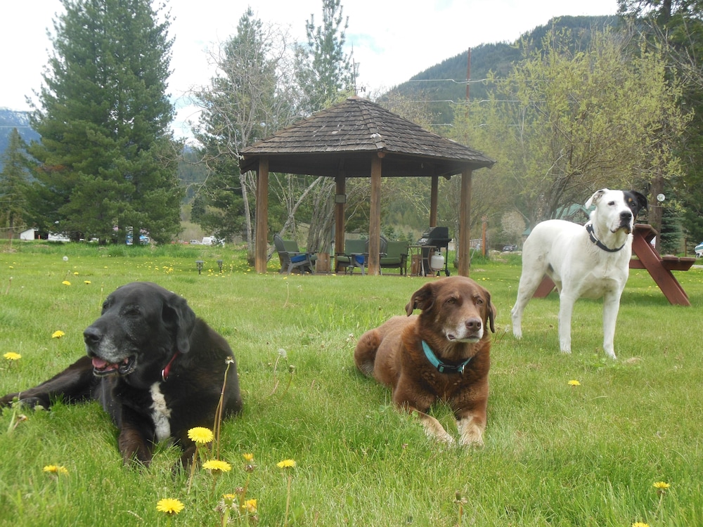 Clark Fork Lodge 42/43