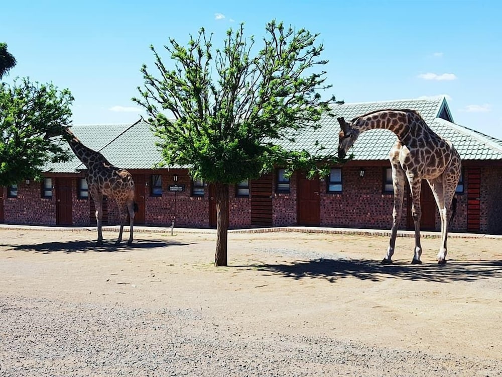 Sangiro Game Lodge 35/50