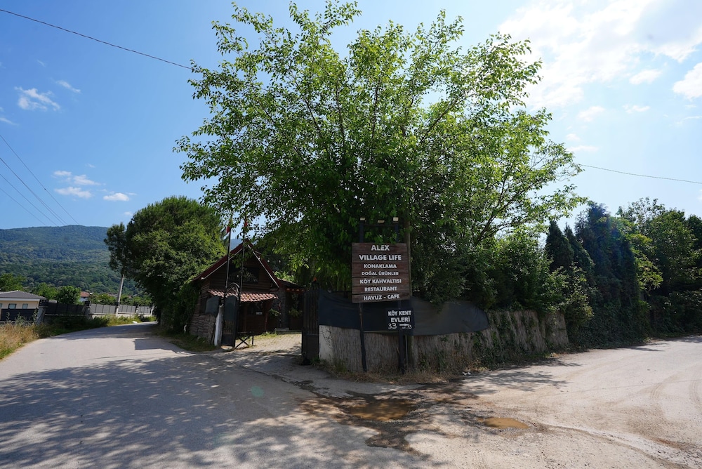 Alex Village Life 38/50