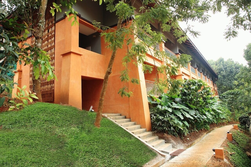 Abad Green Forest 44/50