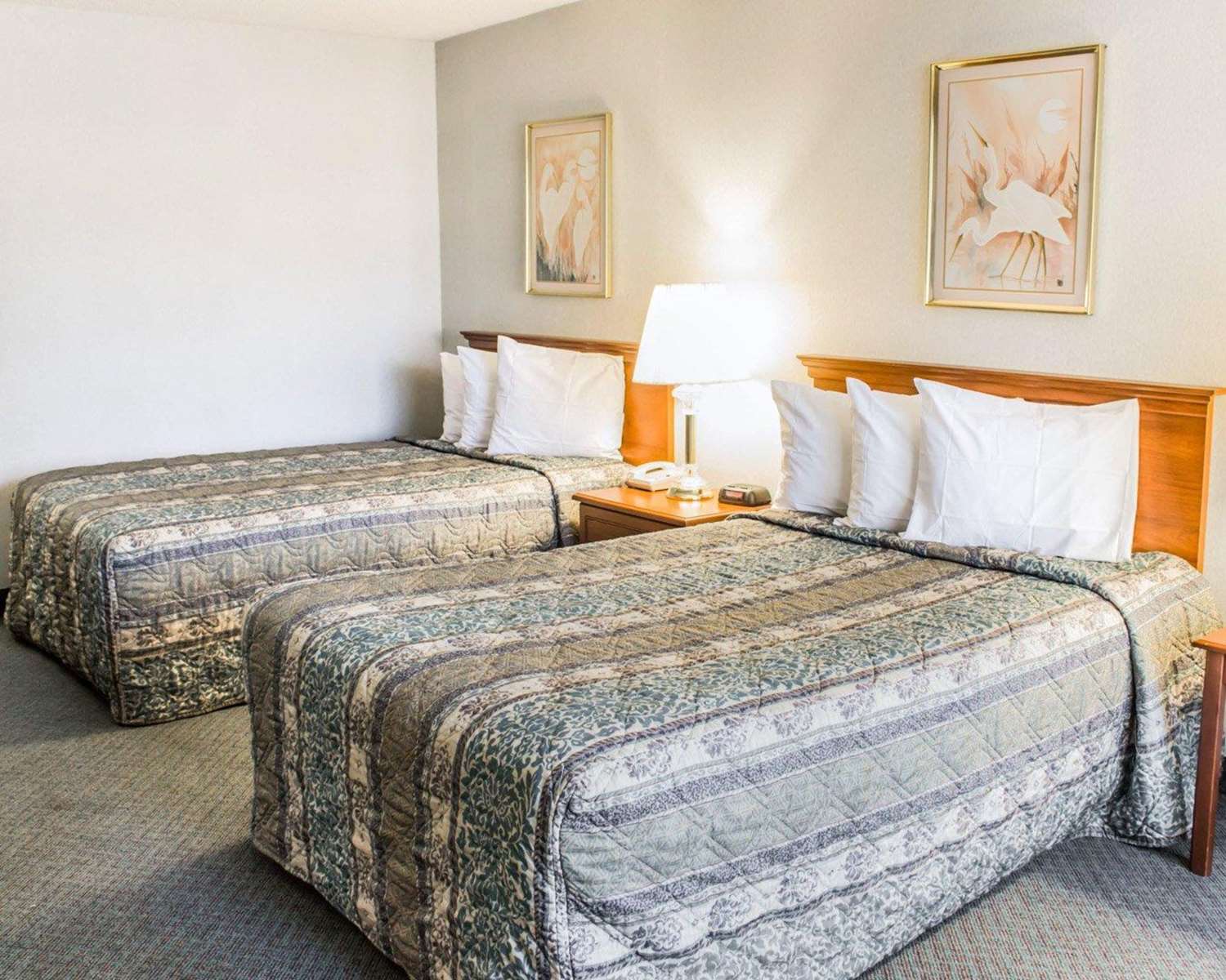 Hotel Greensboro, NC 6/14
