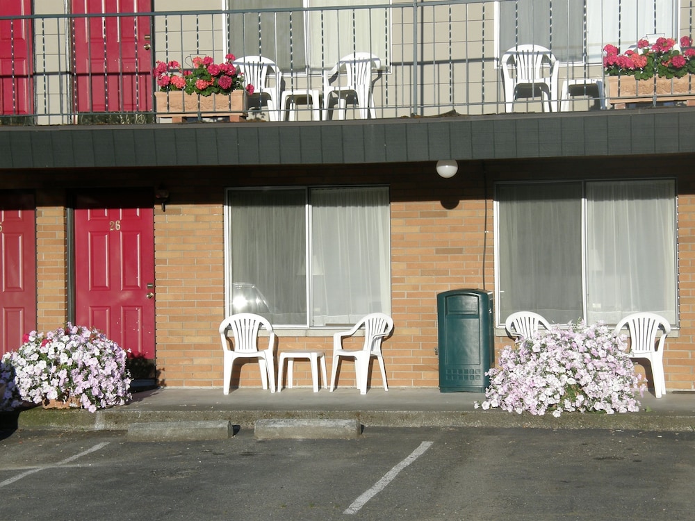 Sultan, Dutch Cup Motel 11/15
