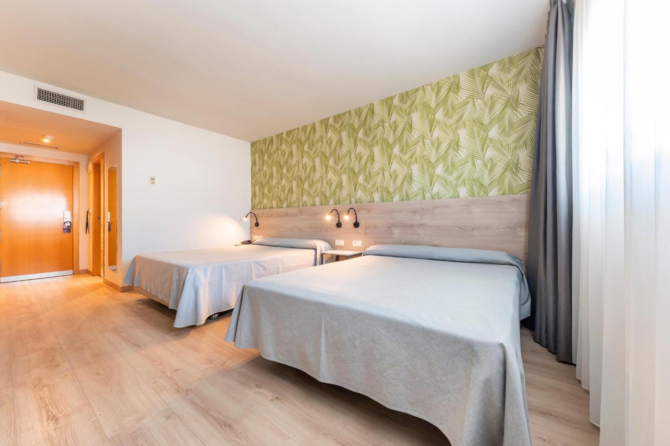 Room, Triple, Single, No Terrace