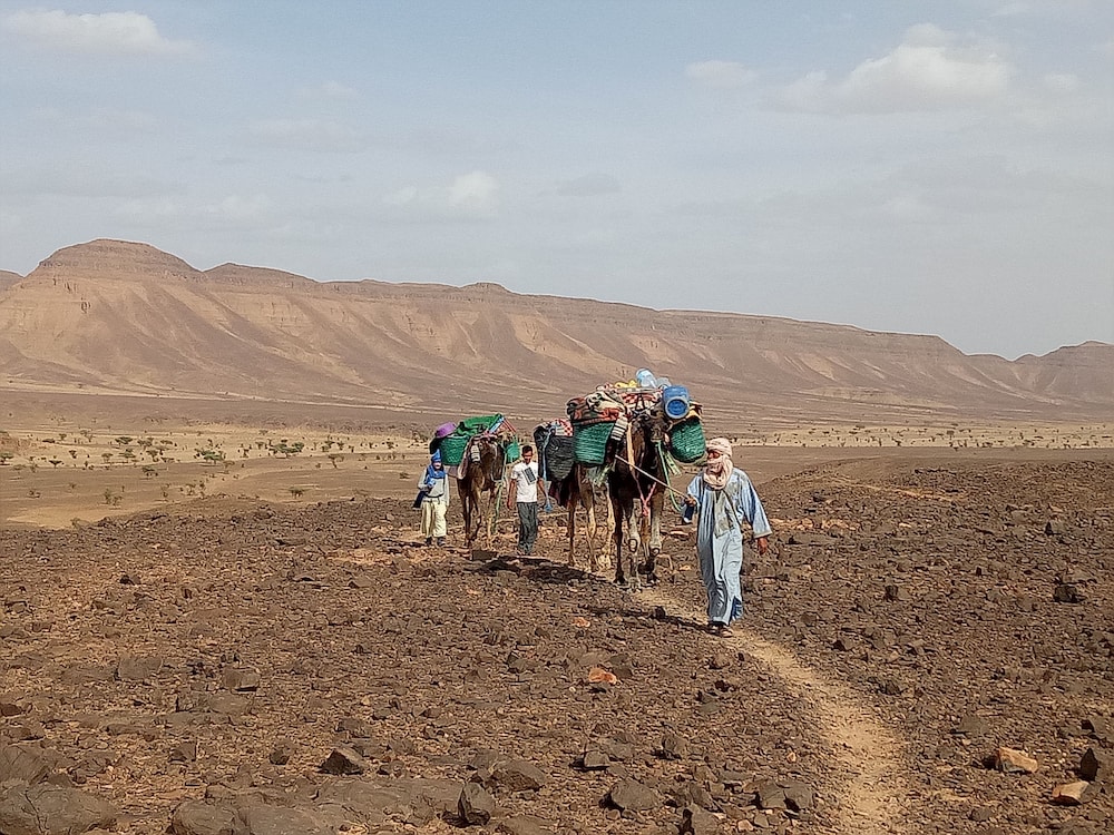 Sahara Peace Camp 27/38