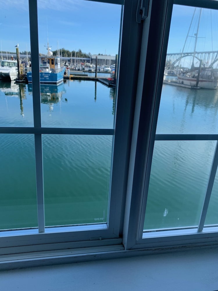 The Newport Belle 28/50
