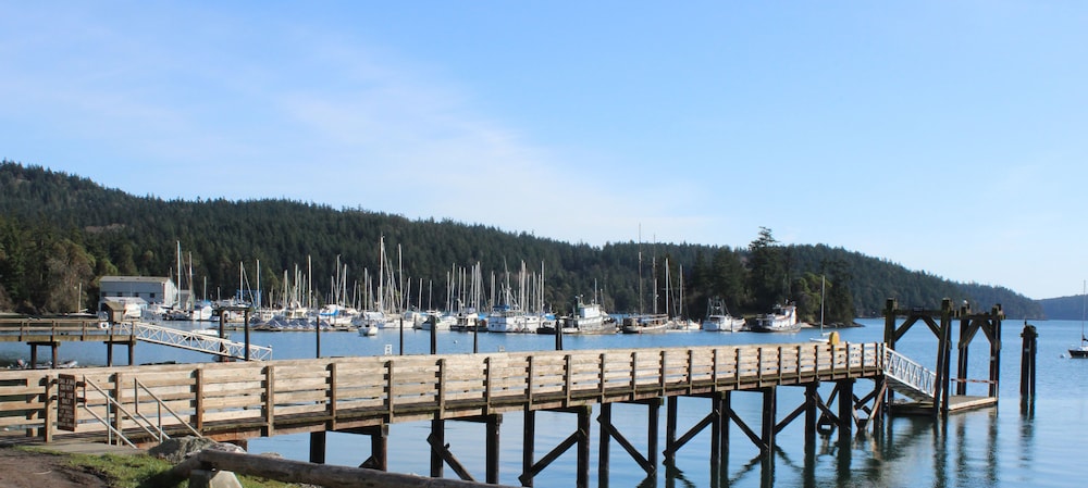 Kingfish at West Sound 42/50