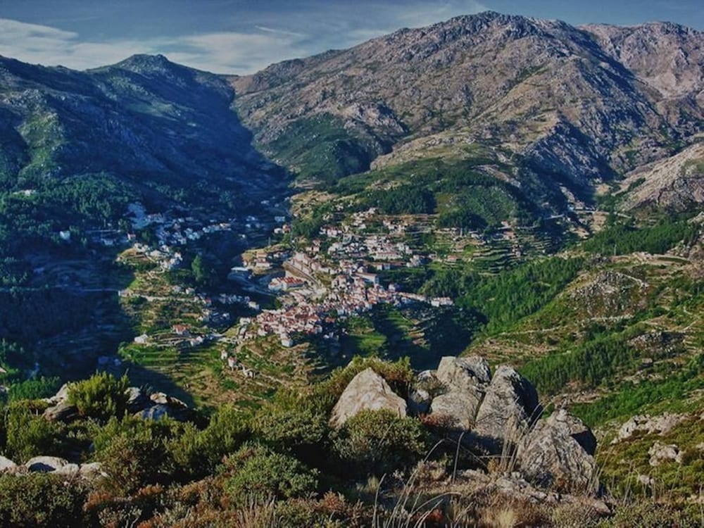 O Vicente 36/44