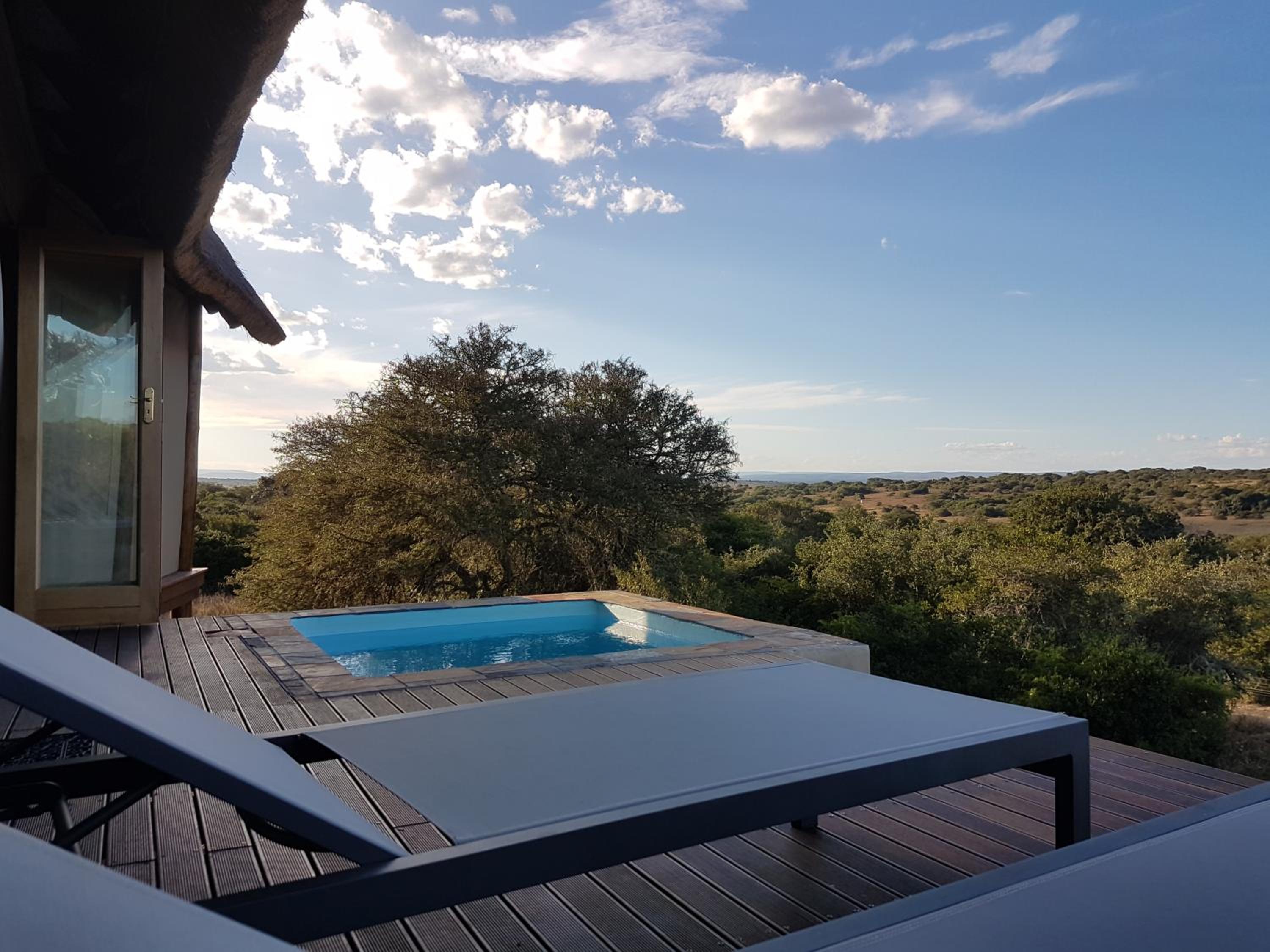 Amakhala Game Reserve - Bush Lodge 10/19