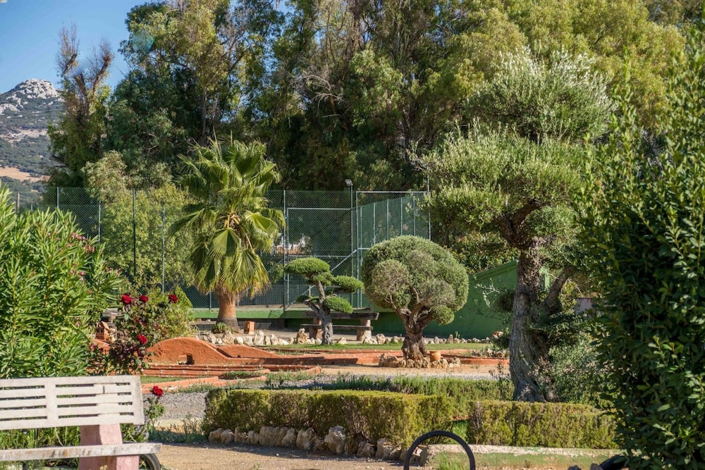 El Cortijo 26/50