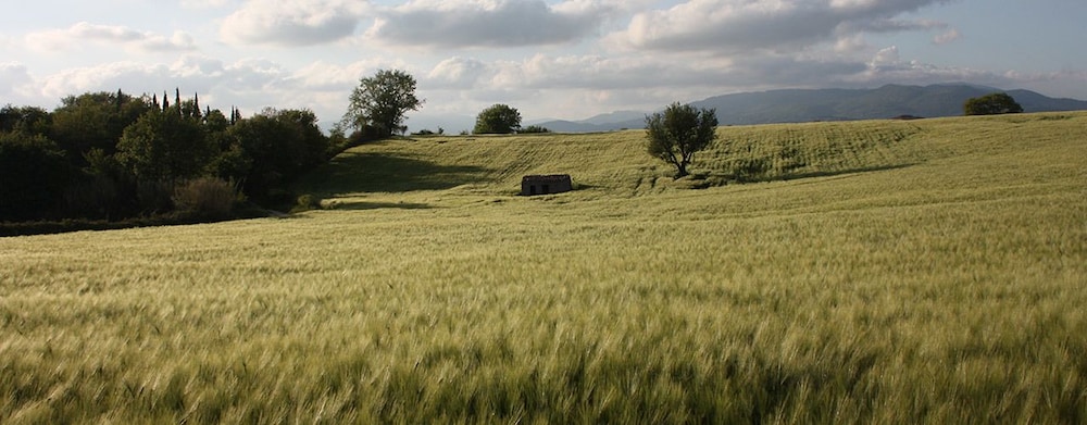 Poggio Del Castagno 12/12