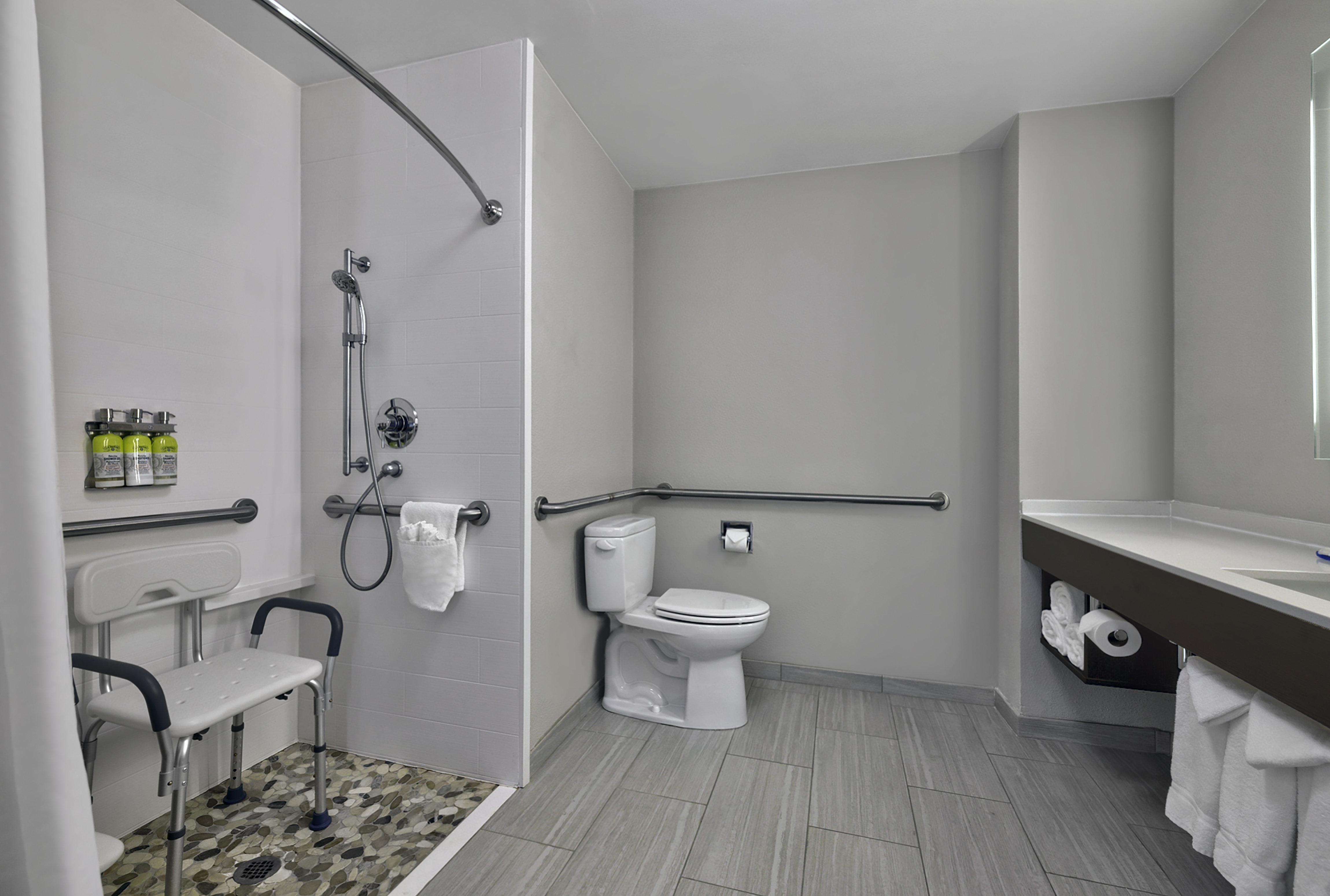 Suite, King Bed, Accessible