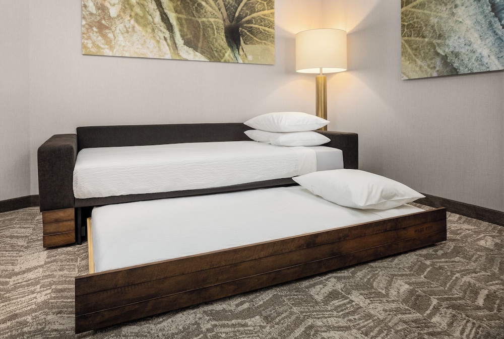 SpringHill Suites by Marriott Eau Claire 6/23