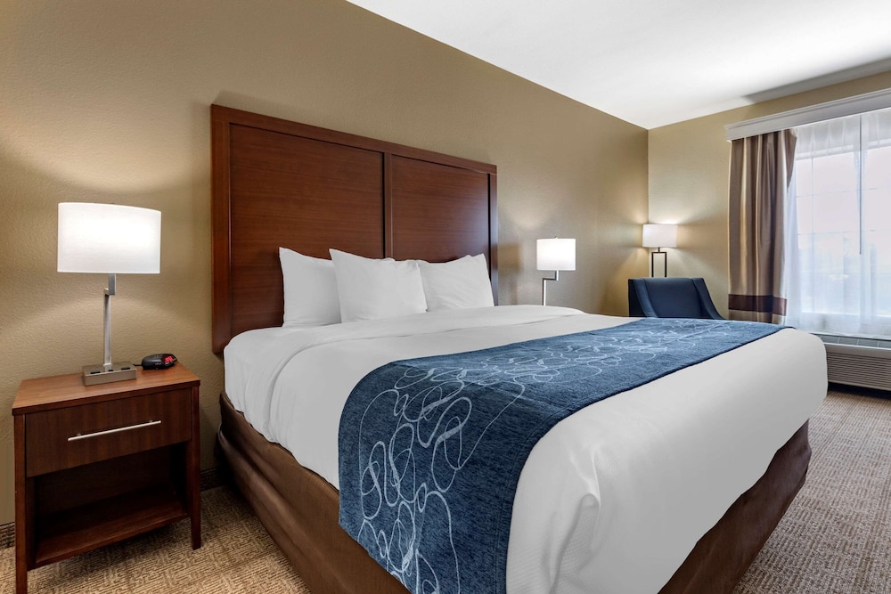 Comfort Inn & Suites Paris 14/33