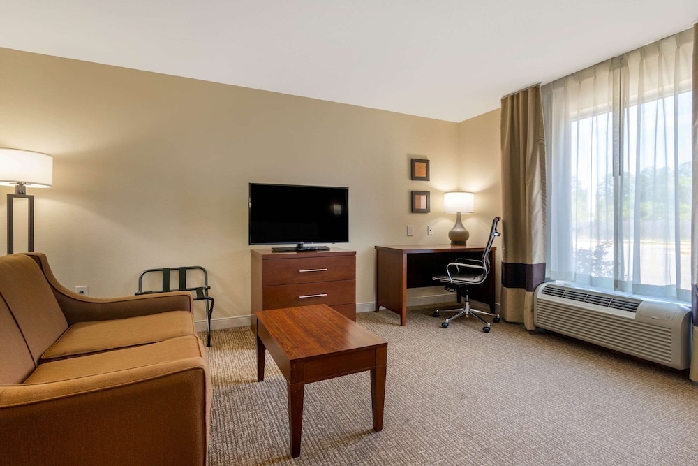 Comfort Inn & Suites Macon West 26/41