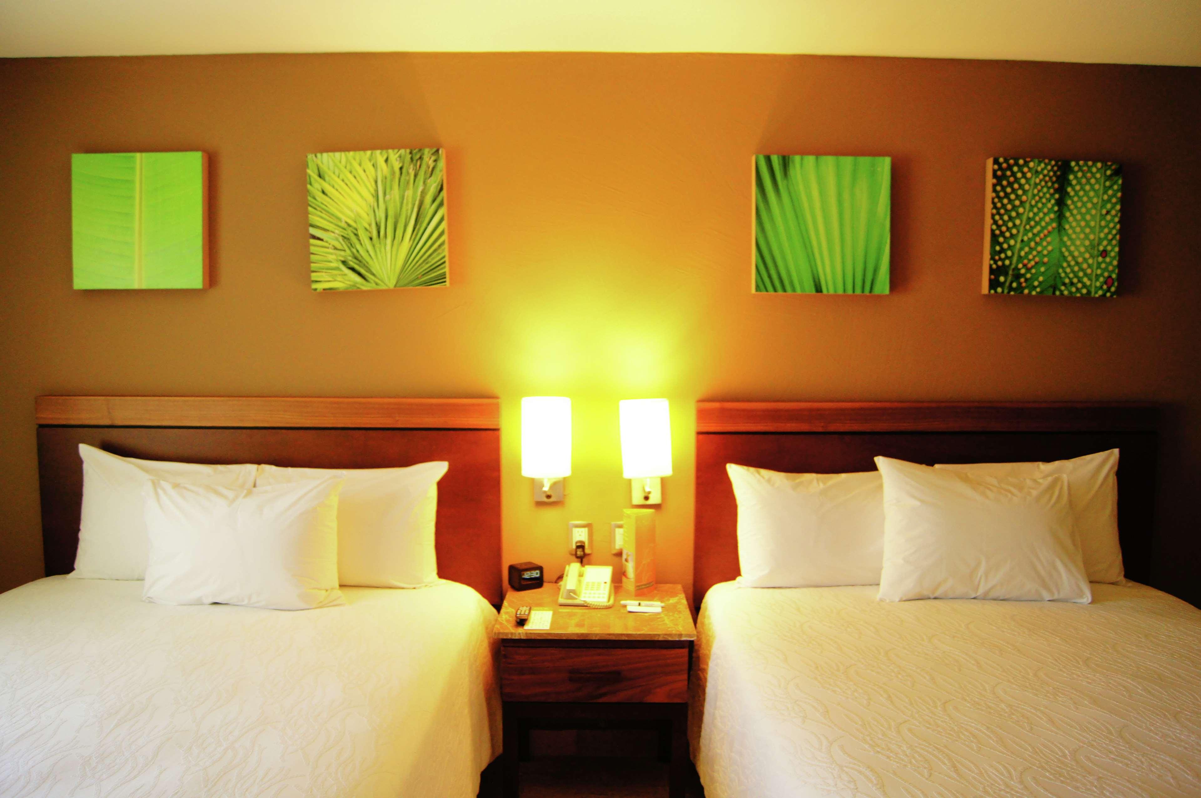 غرفة بسرير مزدوج بإطلالة على البحر
