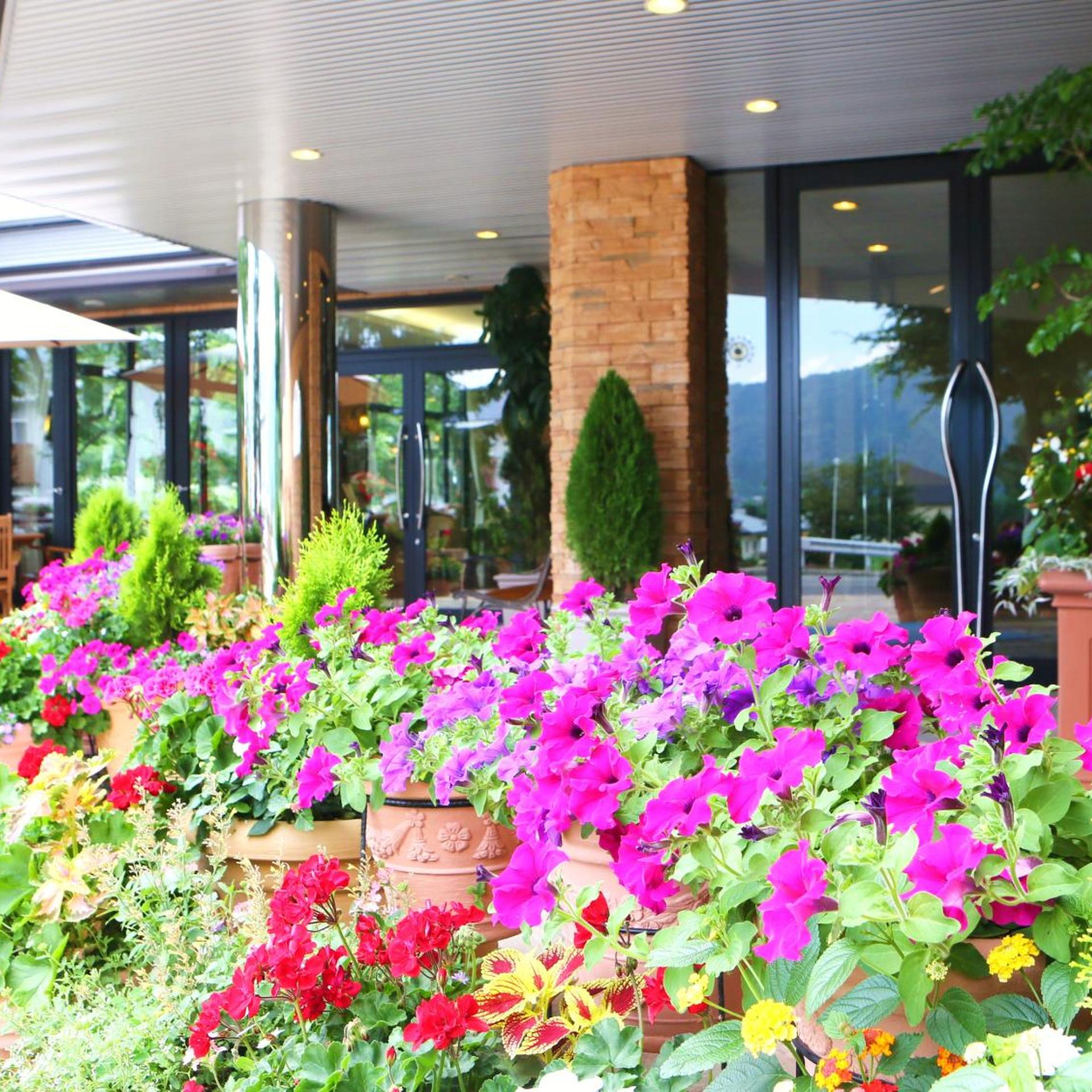 Hotel Hakuba 3/50