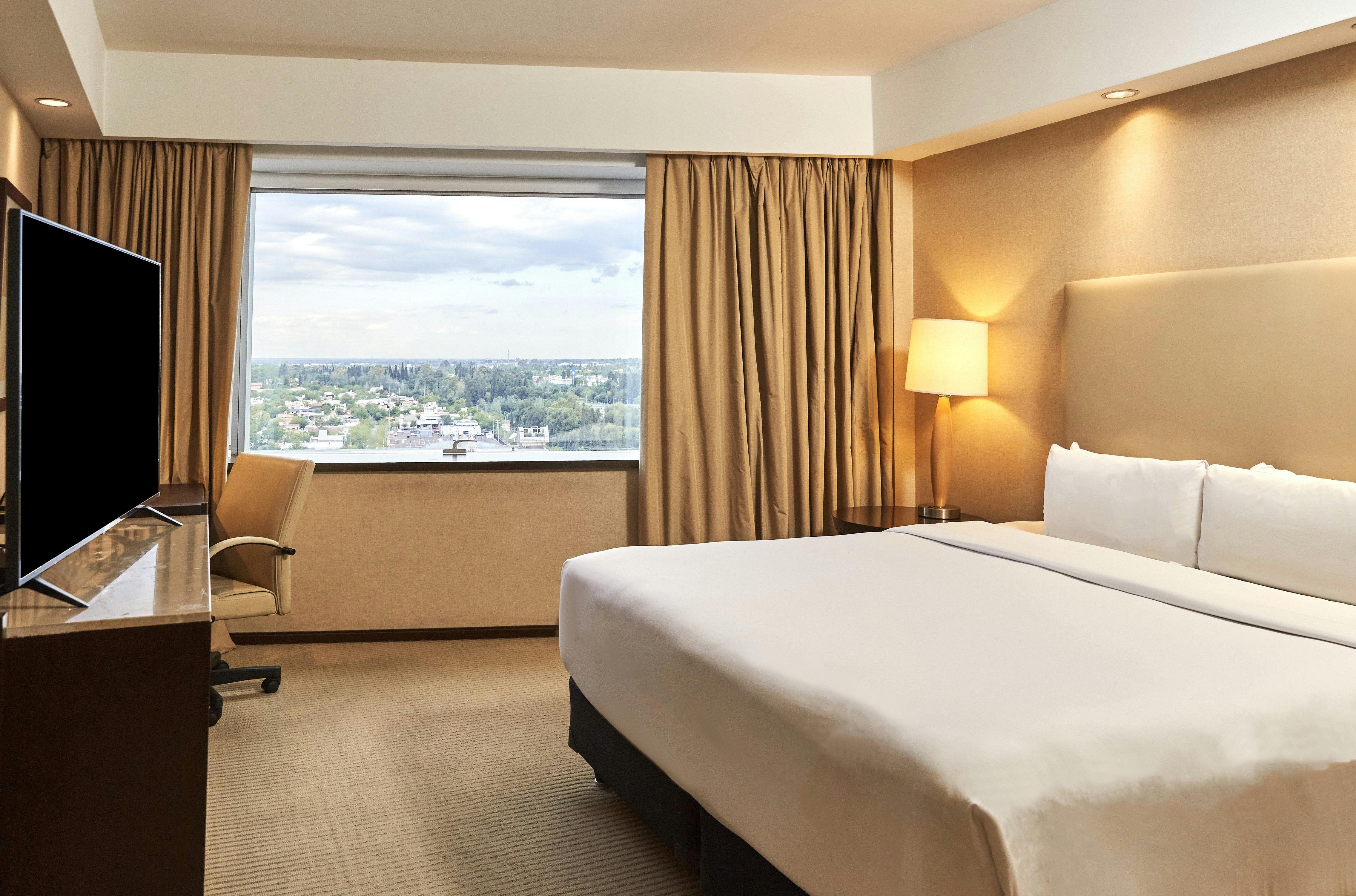 ROOM, KING BED, ACCESSIBLE