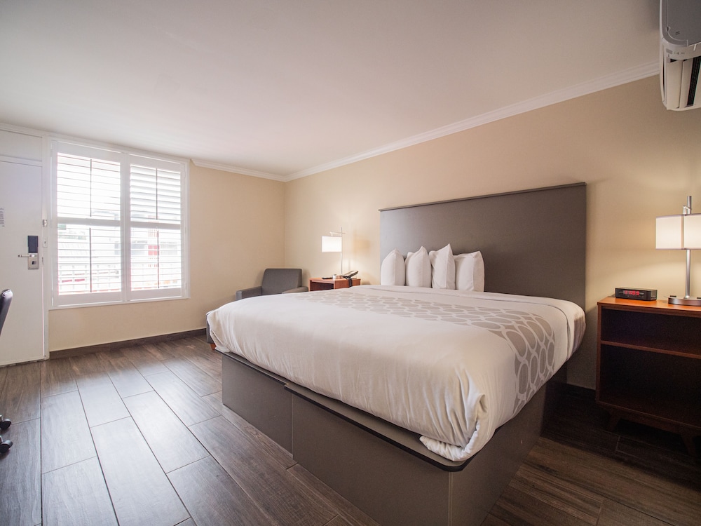 Equus Inn Ocala 15/56