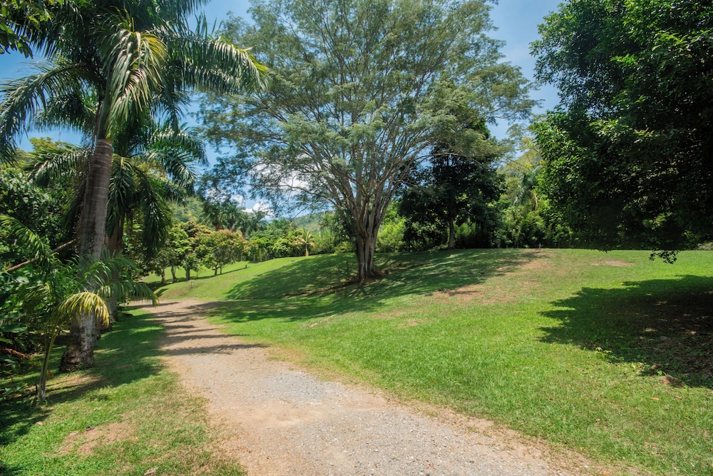La Selva Hotel San Jeronimo 29/50