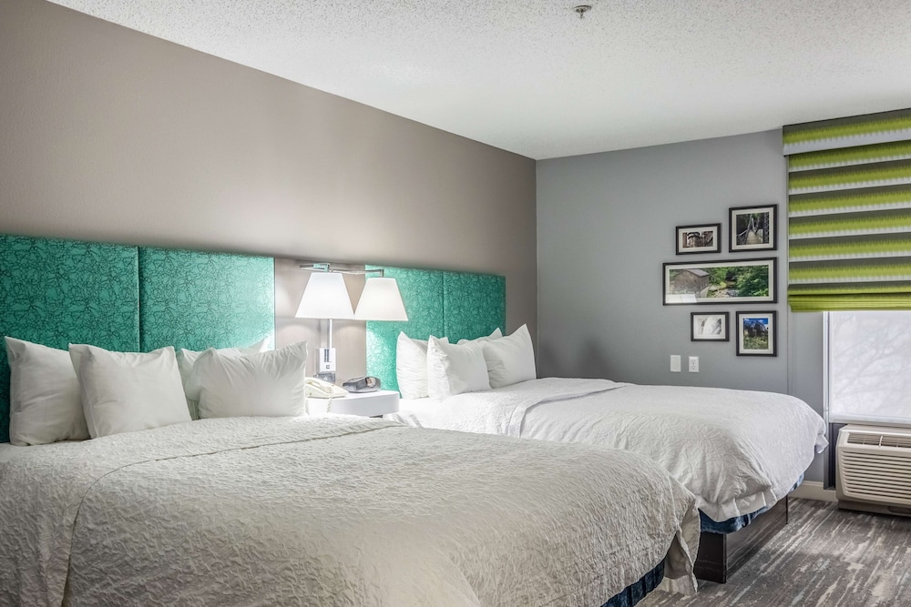 Hampton Inn Youngstown - North 24/80