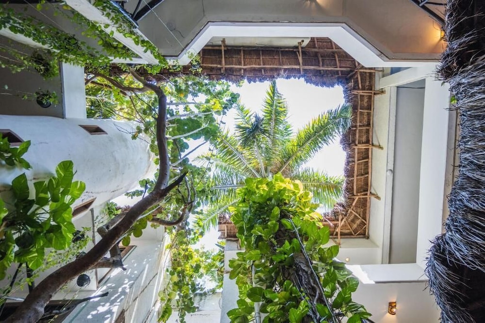 Posada Mariposa Boutique Hotel 6/71