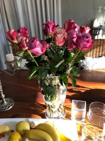 The Lemon Tree Self-Catering 14/50