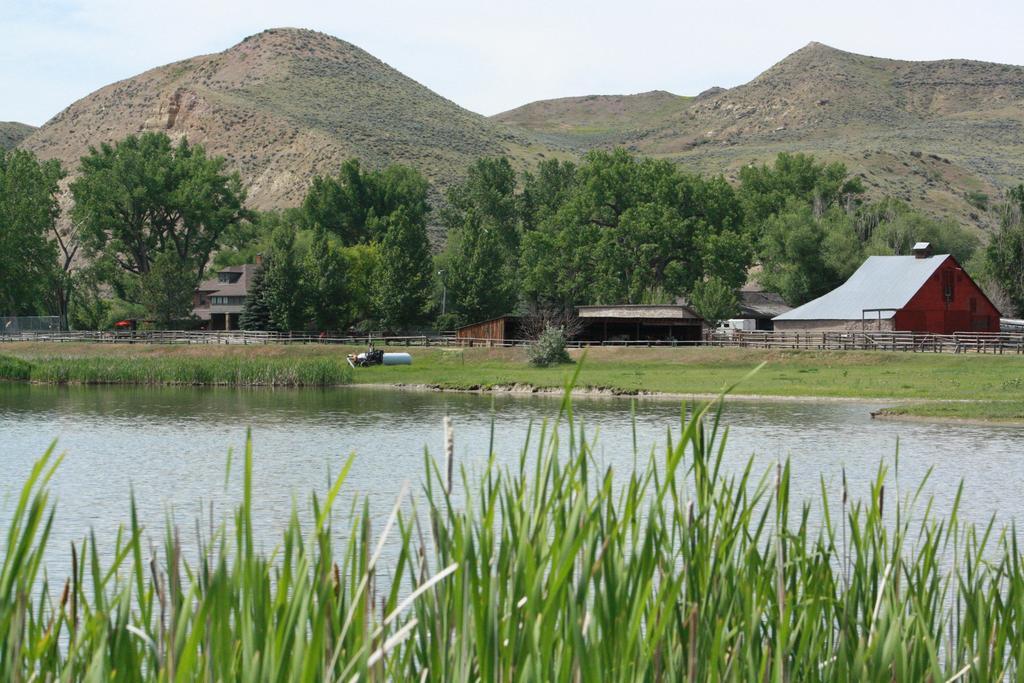 The Ranch At Ucross Sheridan Buffalo 14/18