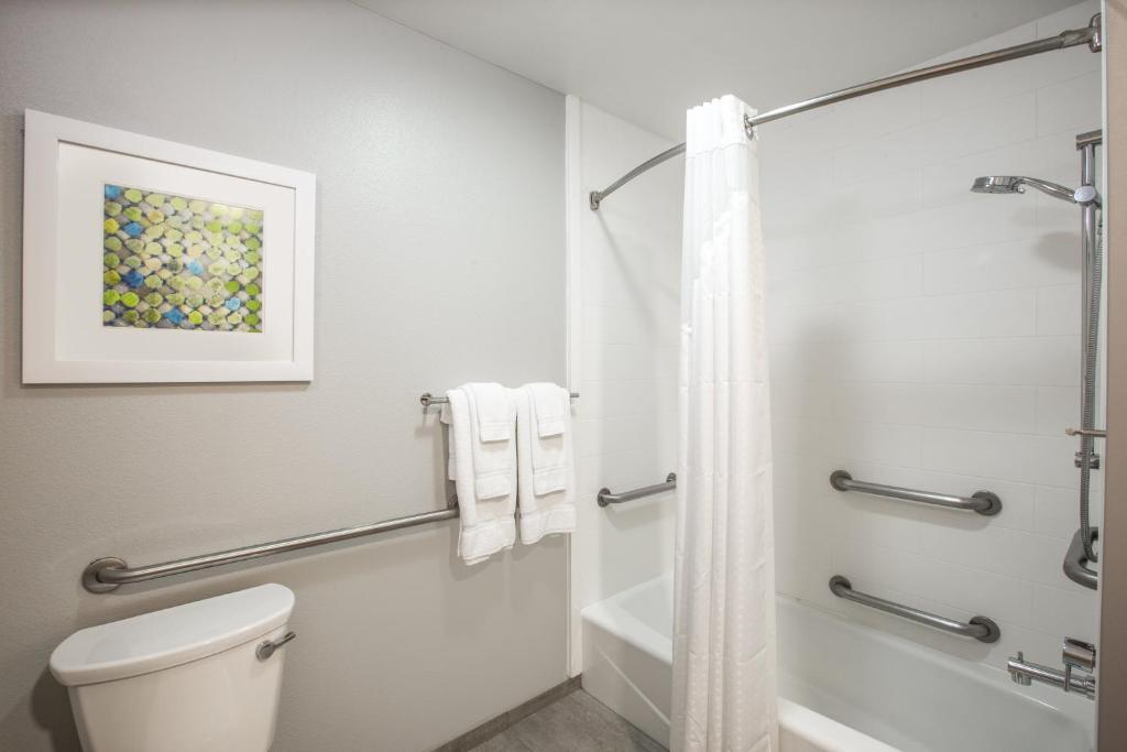 Suite, Double Bed, Accessible
