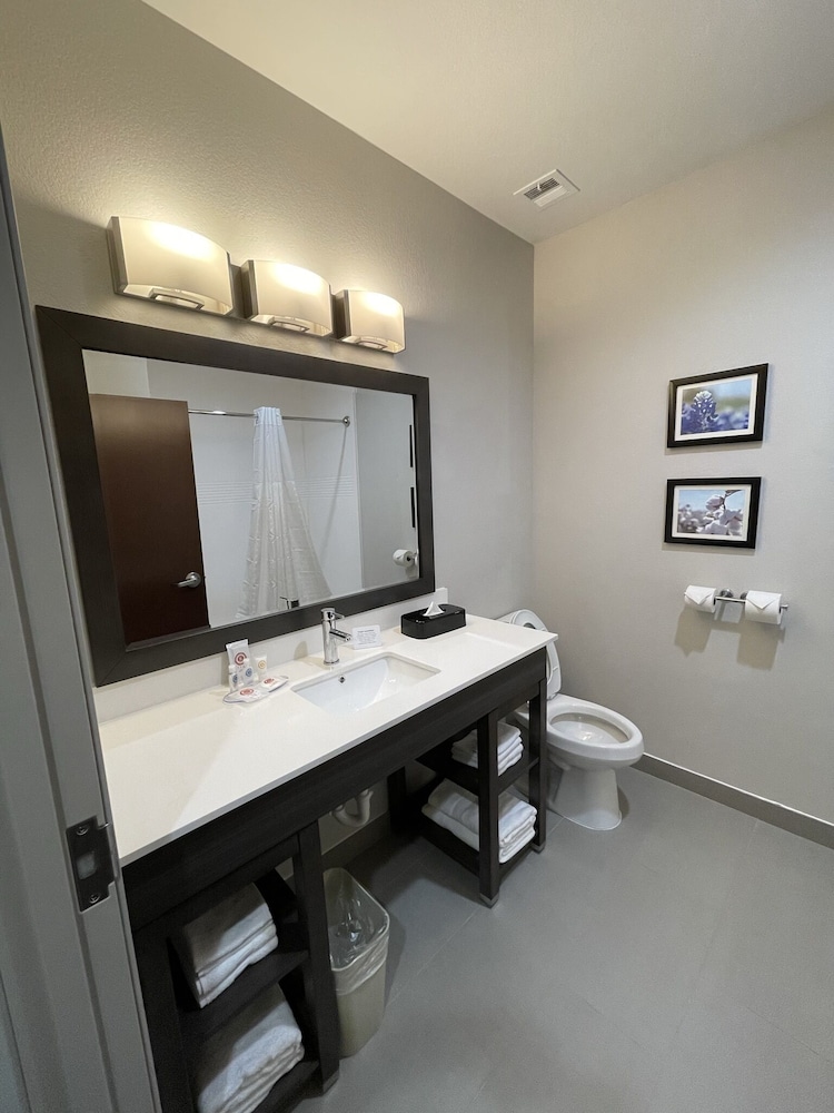 Comfort Inn & Suites Balch Springs - SE Dallas 30/30