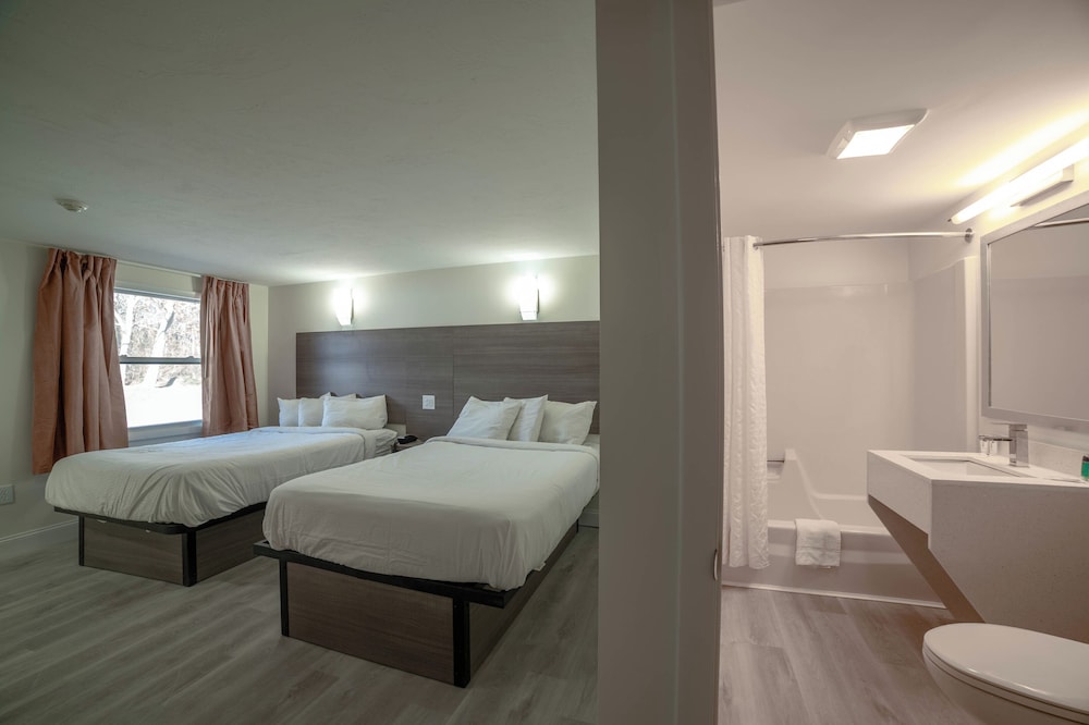 Viking Shores Motor Inn 10/35