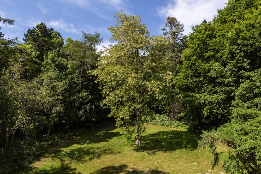 Precise Resort Rugen - Hotel & Splash Erlebniswelt 64/70