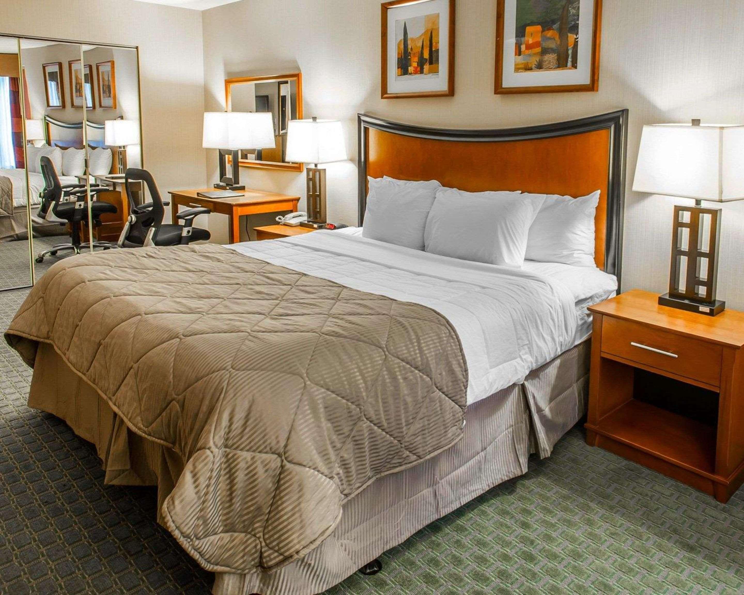 Suite, King Bed