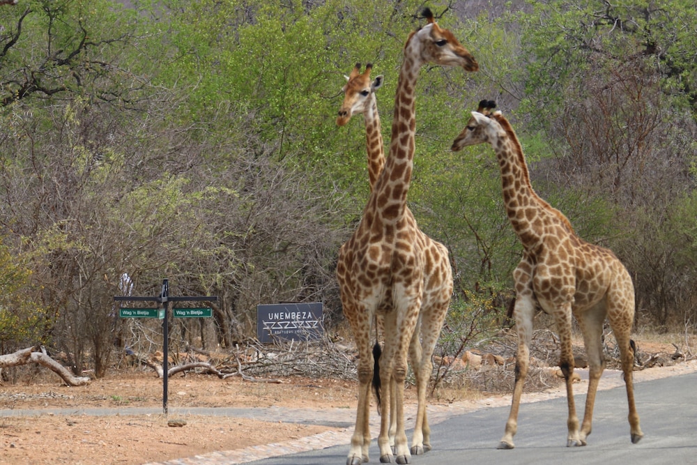 Unembeza Boutique Lodge Spa 35/50