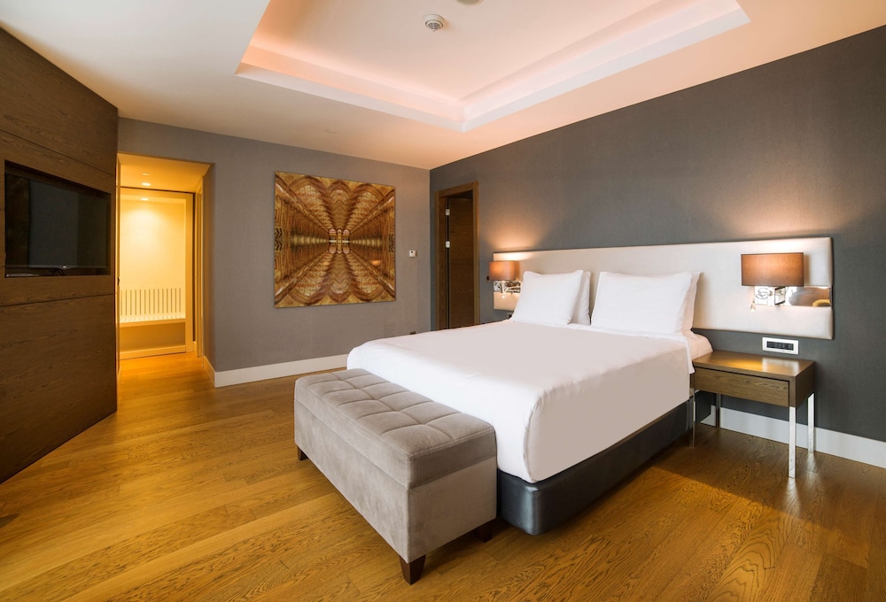 Radisson Blu Hotel, Kayseri 33/77