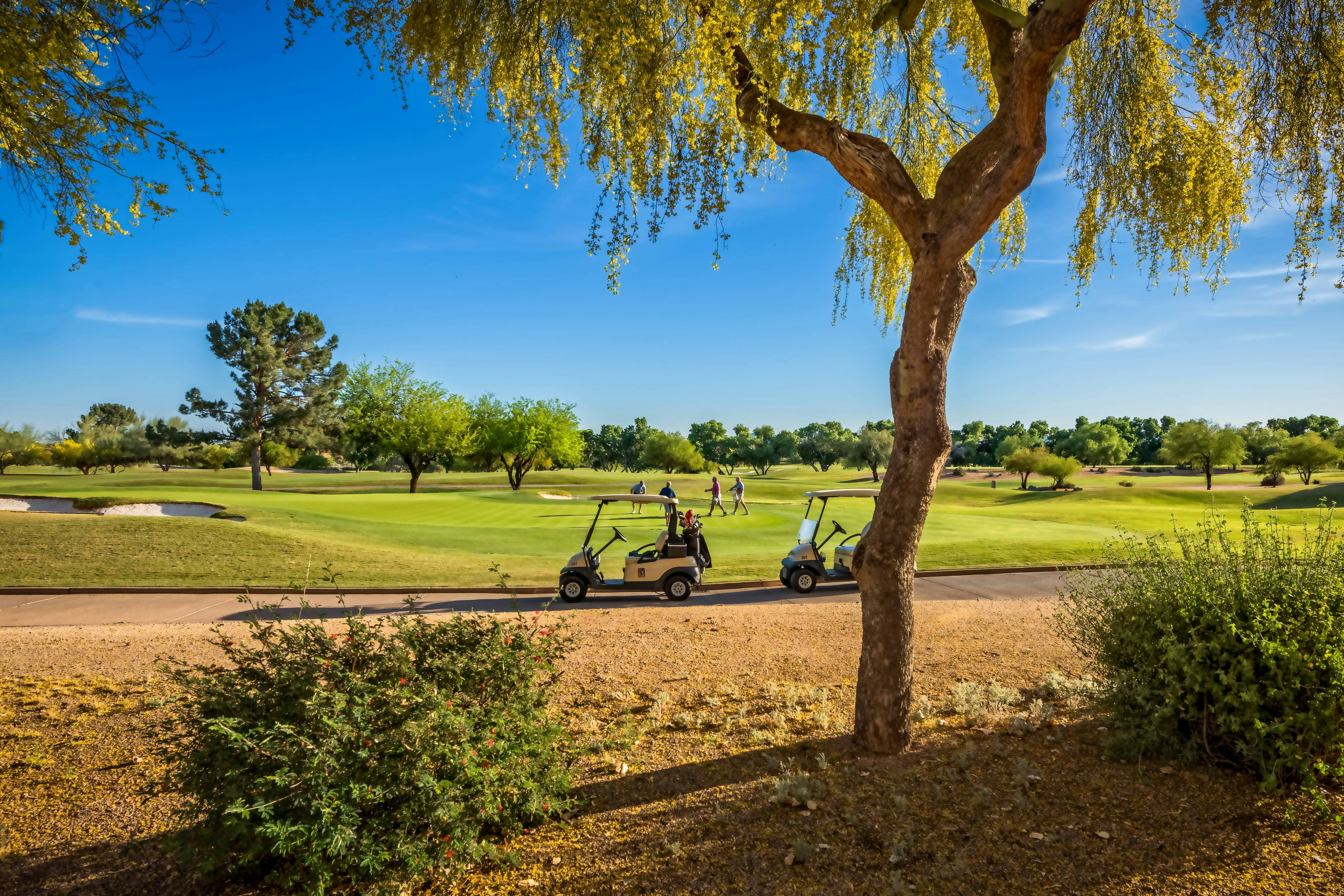Scottsdale Marriott at McDowell Mountains 63/73