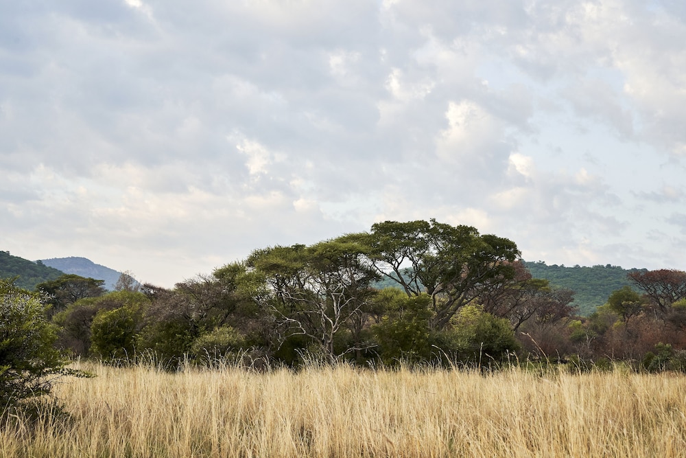 Letamo at Qwabi Private Game Reserve 33/48