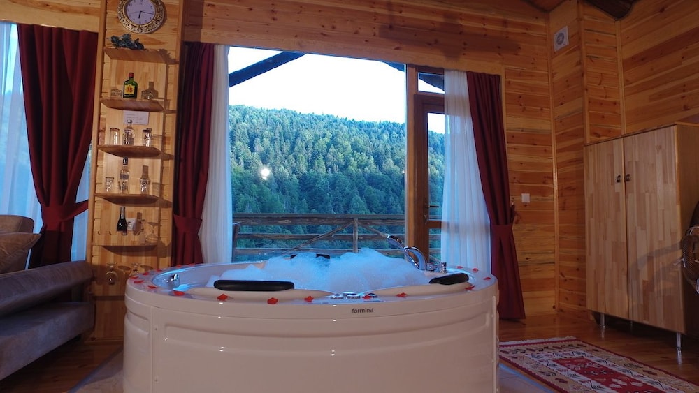 Abant Kartal Yuvasi Otel 20/21